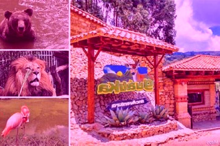 Ellie, 33 — Escort in Guatica, Colombia