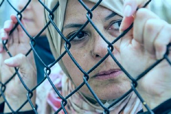 Ellie, 33 — Escort in Mirkah, Palestine