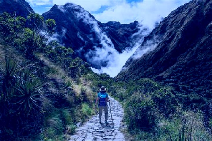 Ellie, 33 — Escort in Patapo, Peru