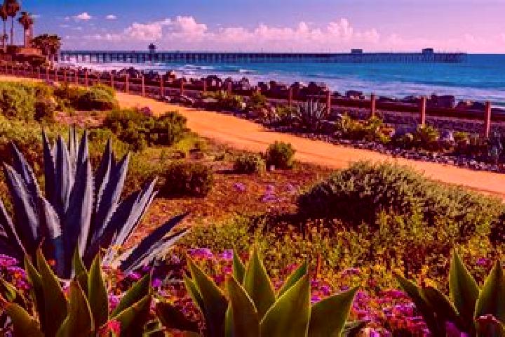 Ellie, 33 — Escort in San Clemente, Spain