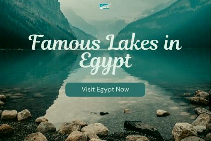 Ellie, 34 — Escort in Bush, Egypt