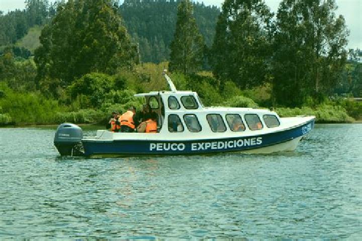 Ellie, 34 — Escort in Carahue, Chile