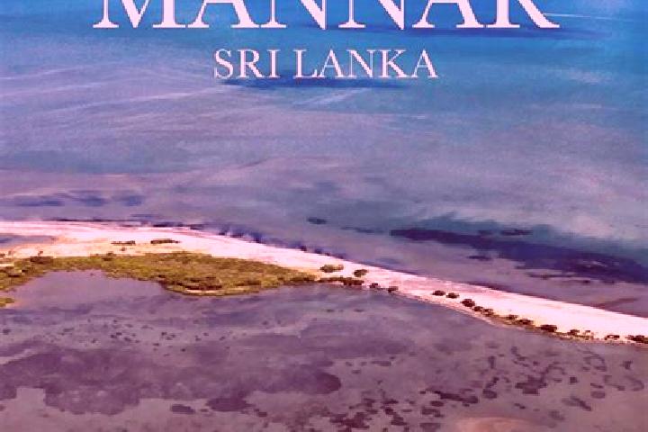 Ellie, 35 — Escort in Mannar, Sri Lanka