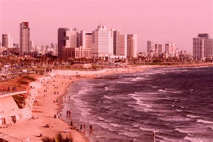 Ellie, 35 — Escort in Telamim, Israel