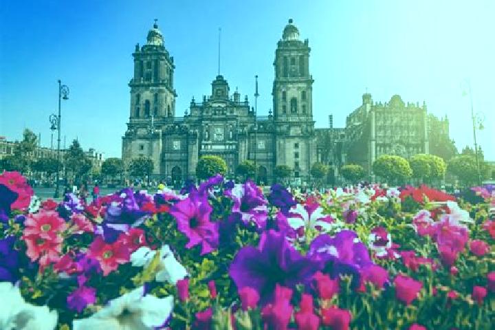 Ellie, 36 — Escort in Ciudad Hidalgo, Mexico