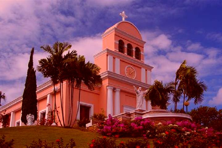 Ellie, 36 — Escort in Sabana, Puerto Rico