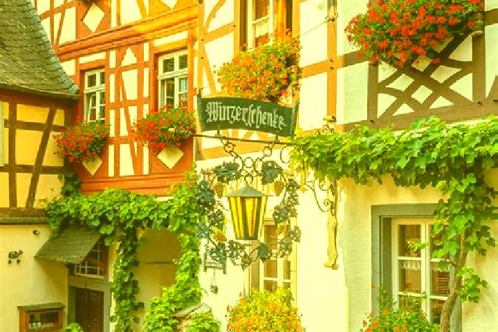 Ellie, 36 — Escort in Stoltebull, Germany