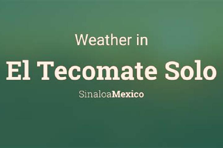 Ellie, 36 — Escort in Tecomate, Mexico