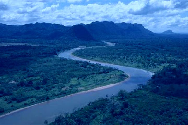 Ellie, 36 — Escort in Wawina, Honduras