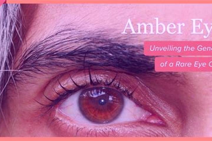 Ellie, 37, a red amber-eyed caribbean companion based in Mountain House. Offering Girlfriend Experience, Dinner Date, A-Level, Striptease. Available for inca...