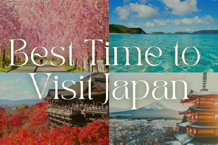 Ellie, 37 — Escort in Fujishiro, Japan