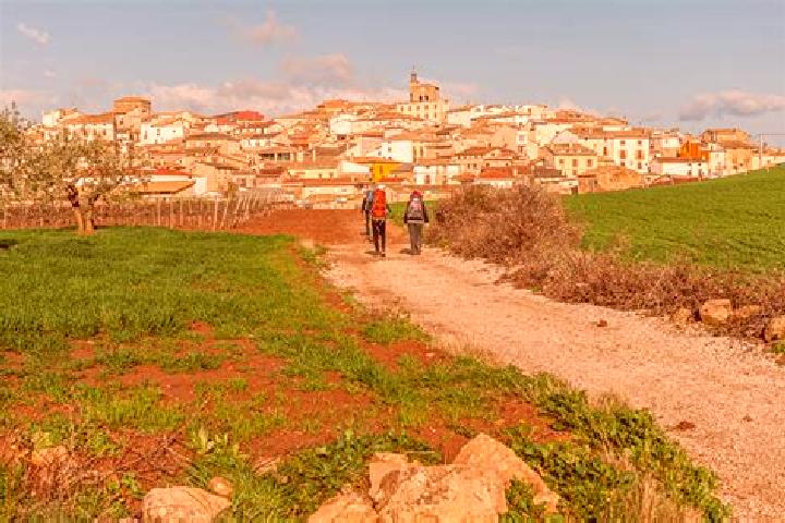 Ellie, 37 — Escort in Hornillos del Camino, Spain