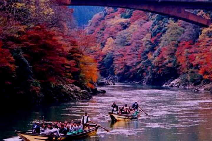 Ellie, 37 — Escort in Kameoka, Japan
