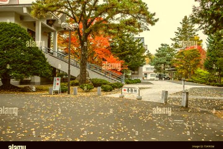 Ellie, 37 — Escort in Kitami, Japan