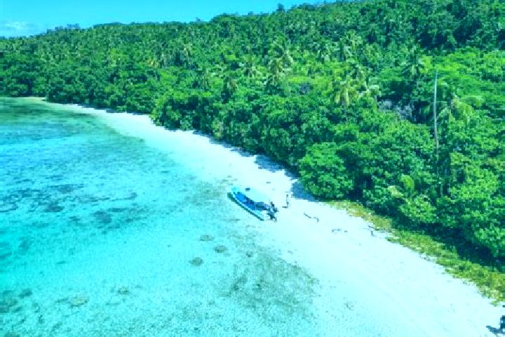 Ellie, 37 — Escort in Neiafu, Tonga