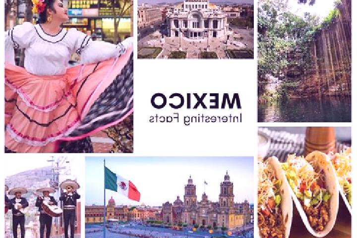Ellie, 37 — Escort in Salamanca, Mexico