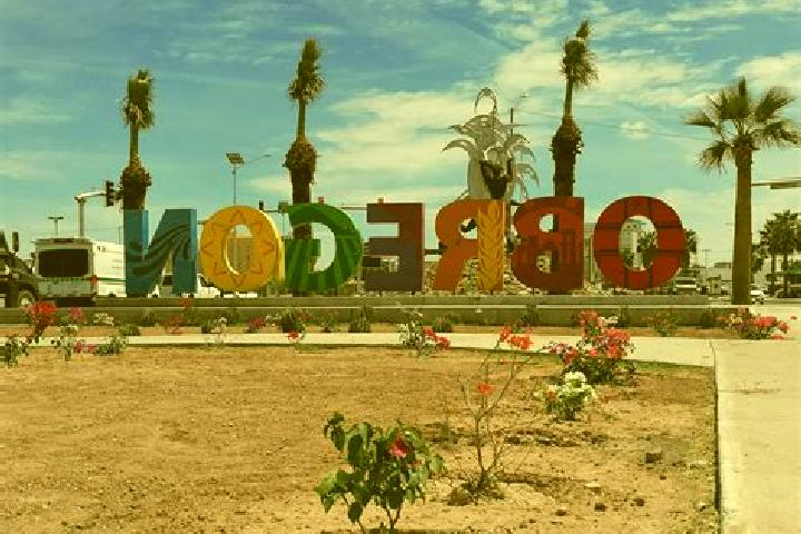 Ellie, 38 — Escort in Canadas de Obregon, Mexico