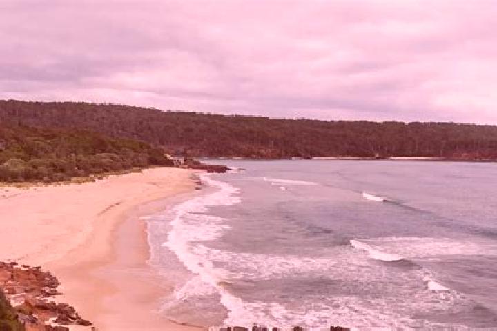 Ellie, 38 — Escort in Pambula Beach, Australia
