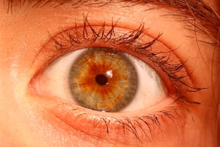 Ellie, 39, a red hazel-eyed indian companion based in Cerreto d Esi. Offering Fetish, OWO, BDSM, GFE. Available for incall and outcall, day and evening dates.