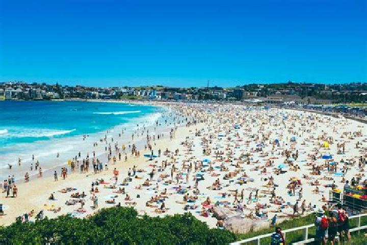 Ellie, 39 — Escort in Bondi Beach, Australia