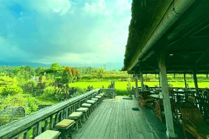 Ellie, 39 — Escort in Penebel, Indonesia