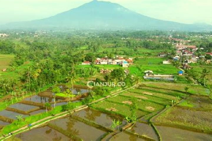 Ellie, 39 — Escort in Sukamantri Satu, Indonesia