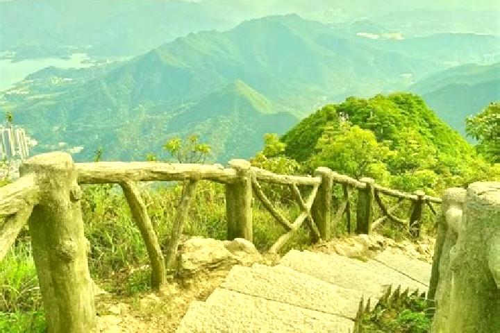 Ellie, 39 — Escort in Wutong, China