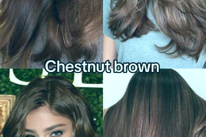 Emily, 20, a chestnut brown-eyed indian companion based in Nemagerd. Offering A-Level, Duos. Available for incall and outcall, day and evening dates.
