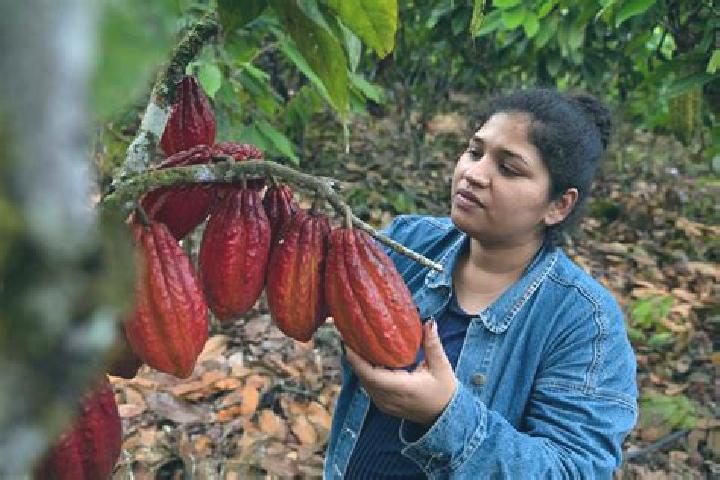 Emily, 20 — Escort in Cacao, Mexico