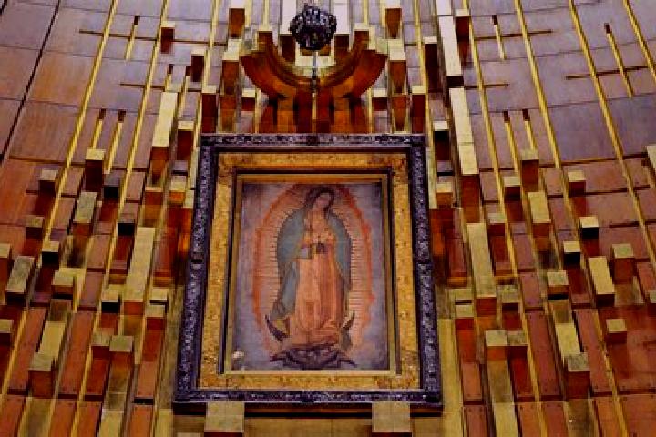 Emily, 20 — Escort in Guadalupe Villa Cardenas, Mexico