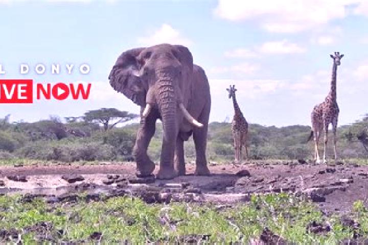 Emily, 20 — Escort in Ol Donyo, Kenya