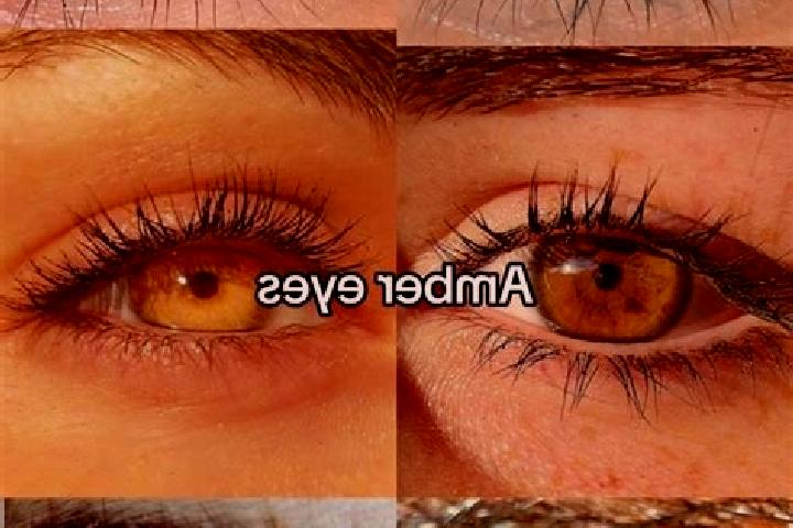 Emily, 21, a brunette amber-eyed european companion based in Marcus. Offering Duos, Dinner Date, Erotic Massage. Available for incall and outcall, overnight ...