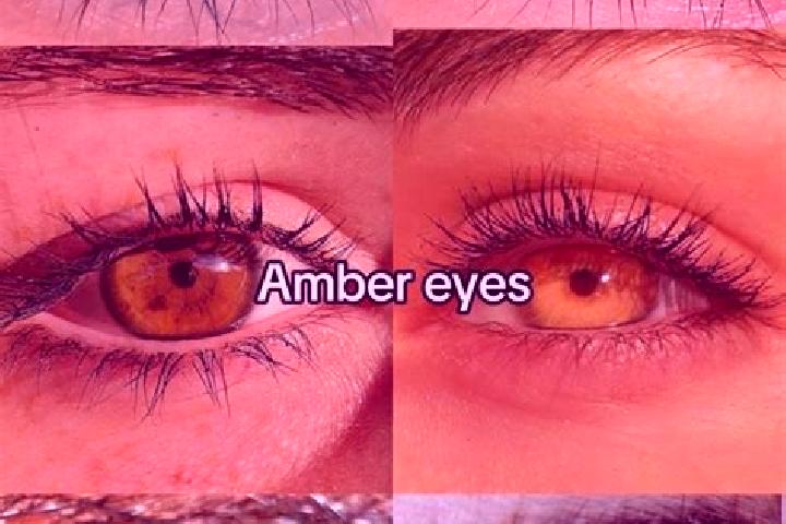 Emily, 21, a brunette amber-eyed middle eastern companion based in Waldon. Offering A-Level, Roleplay, GFE. Available for incall and outcall, day and evening...