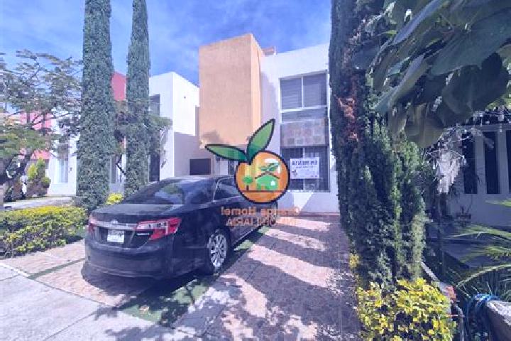 Emily, 21 — Escort in Colonia Santa Anita, Mexico