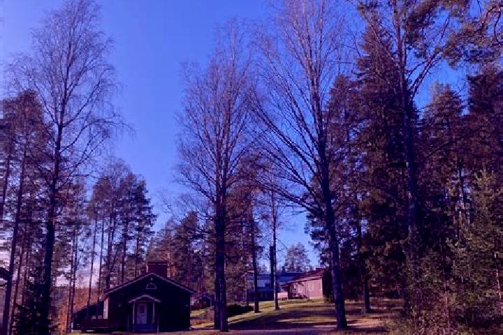 Emily, 21 — Escort in Sulkava, Finland