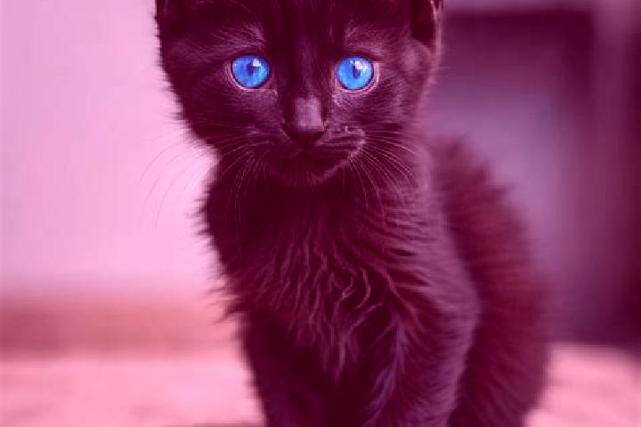 Emily, 22, a black blue-eyed mediterranean companion based in Pirlibey. Offering Couples, CIM, Roleplay, Fetish. Available for incall and outcall, day and ev...