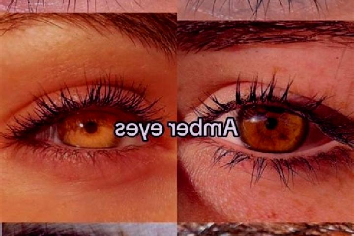 Emily, 22, a chestnut amber-eyed middle eastern companion based in Barnarp. Offering CIM, Erotic Massage, Roleplay, Prostate Massage. Available for incall an...