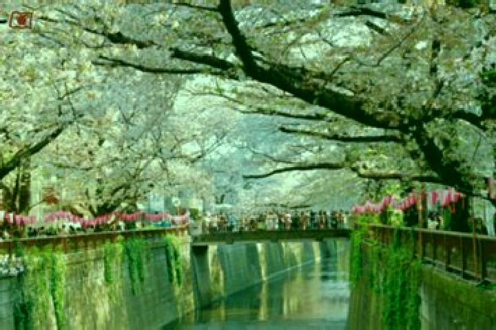 Emily, 22 — Escort in Itogawa, Japan