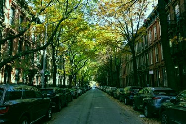 Emily, 22 — Escort in Park Slope, United States