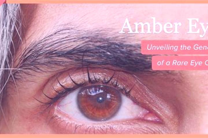 Emily, 25, a black amber-eyed mixed companion based in Tecucelu Sec. Offering GFE, Striptease, 69. Available for incall and outcall, overnight bookings avail...
