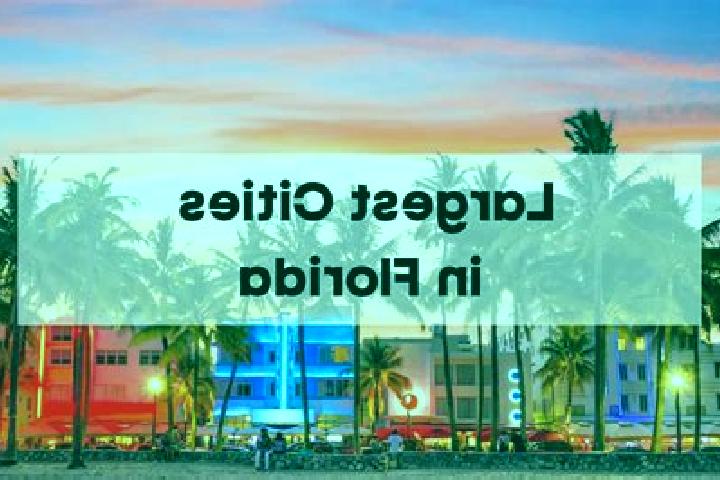 Emily, 25 — Escort in Florida City, United States