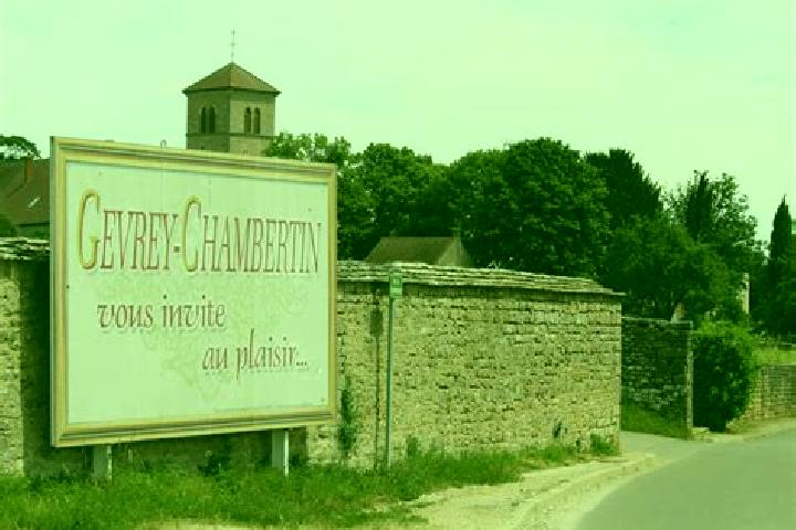 Emily, 25 — Escort in Gevrey-Chambertin, France