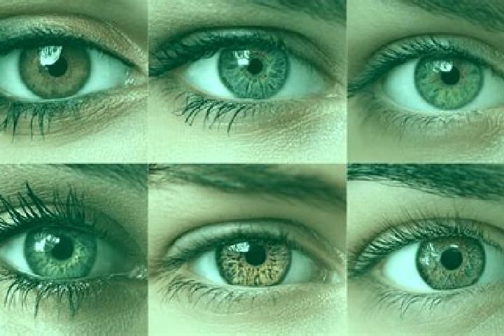 Emily, 26, a brunette brown-eyed indian companion based in Harsany. Offering Party Girl, Roleplay, Travel Companion. Available for incall and outcall, day an...