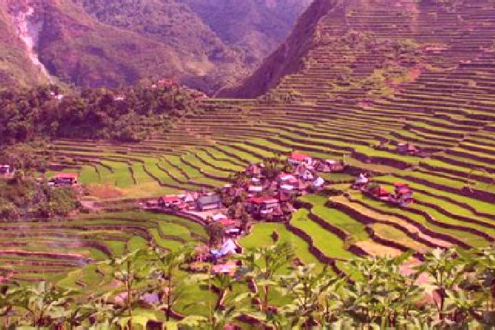 Emily, 26 — Escort in Batad, Philippines