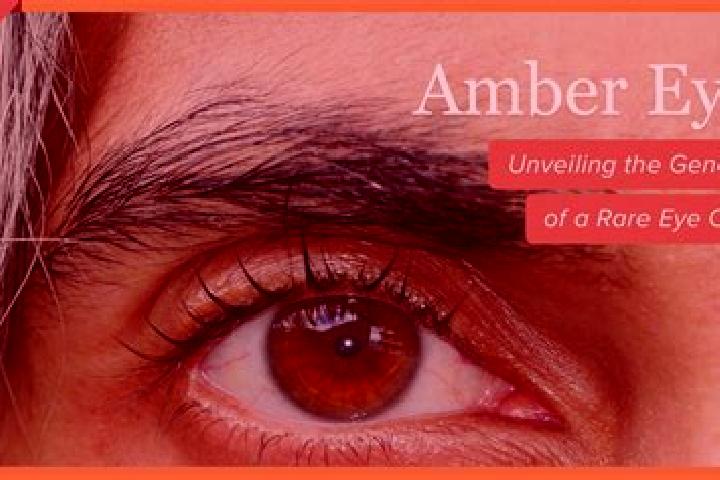 Emily, 28, a red amber-eyed ebony companion based in Cholet. Offering Erotic Massage, A-Level, Striptease, GFE. Available for incall and outcall, overnight b...