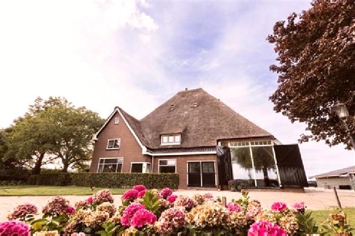 Emily, 28 — Escort in Zwaagdijk-Oost, Netherlands