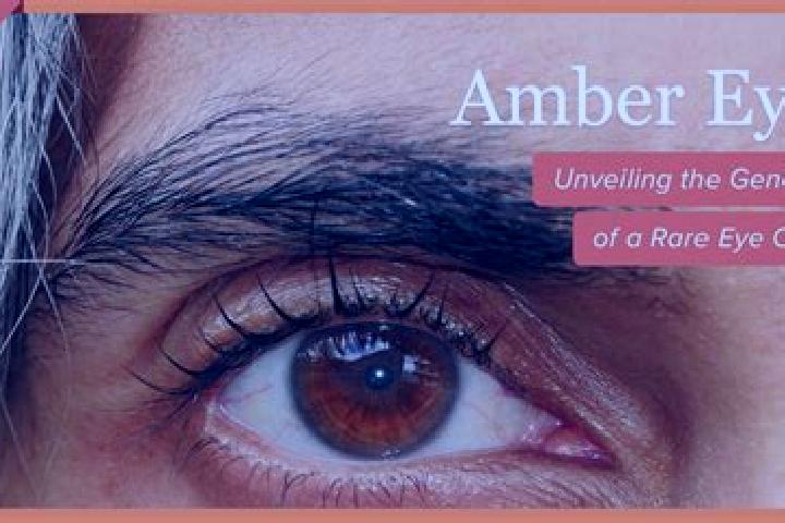 Emily, 29, a black amber-eyed caucasian companion based in Prioro. Offering Girlfriend Experience, Tantra, Striptease. Available for incall and outcall, day ...