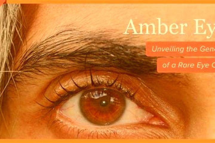 Emily, 29, a black amber-eyed middle eastern companion based in Petriti. Offering Domination, Fetish, OWO, Prostate Massage, Duos. Available for incall and o...