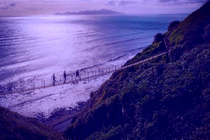 Emily, 29 — Escort in Pukerua Bay, New Zealand