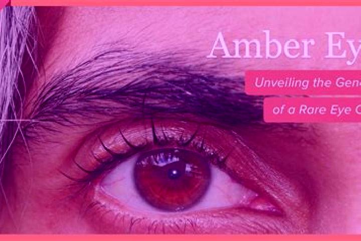 Emily, 30, a black amber-eyed indian companion based in Unterstinkenbrunn. Offering Dinner Date, Prostate Massage, Domination. Available for incall and outca...